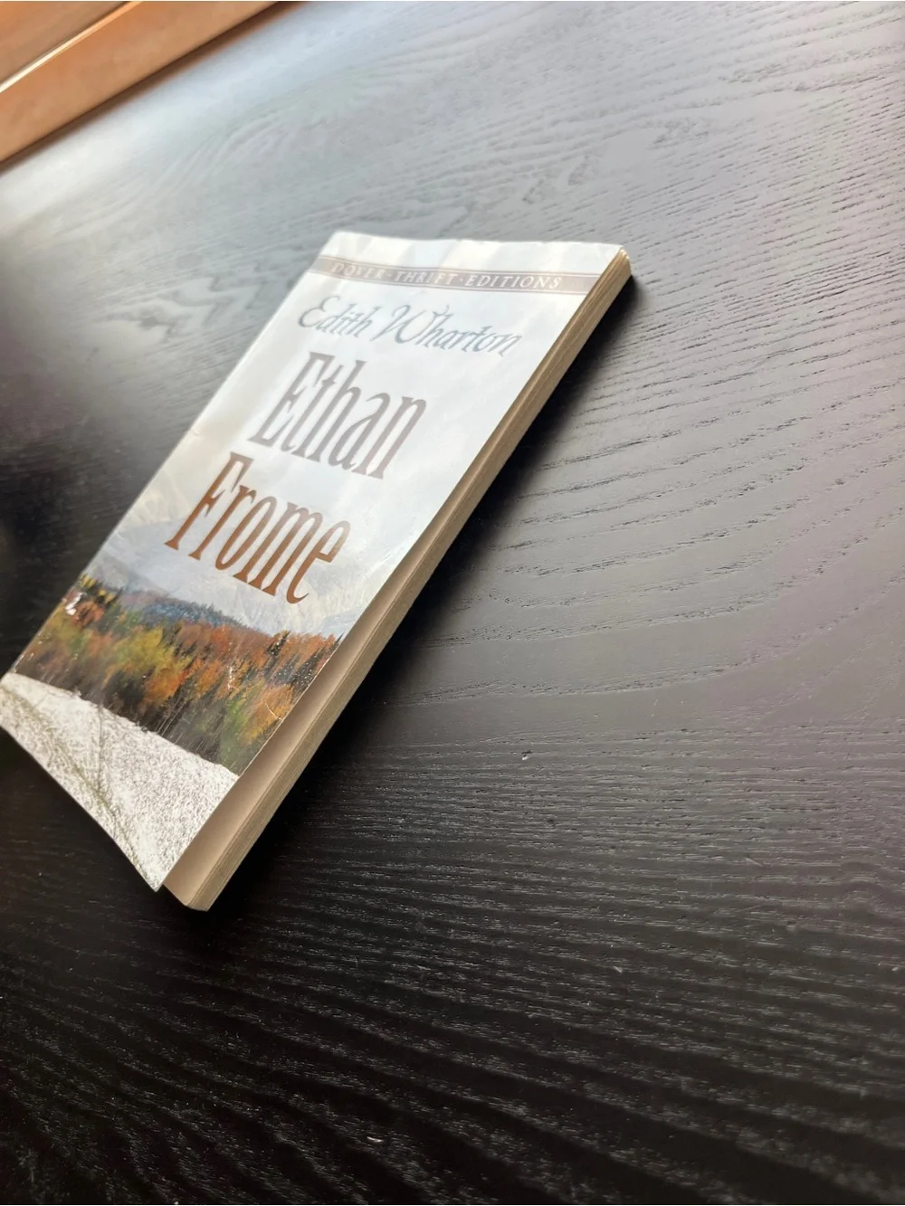 Ethan Frome dover thrift